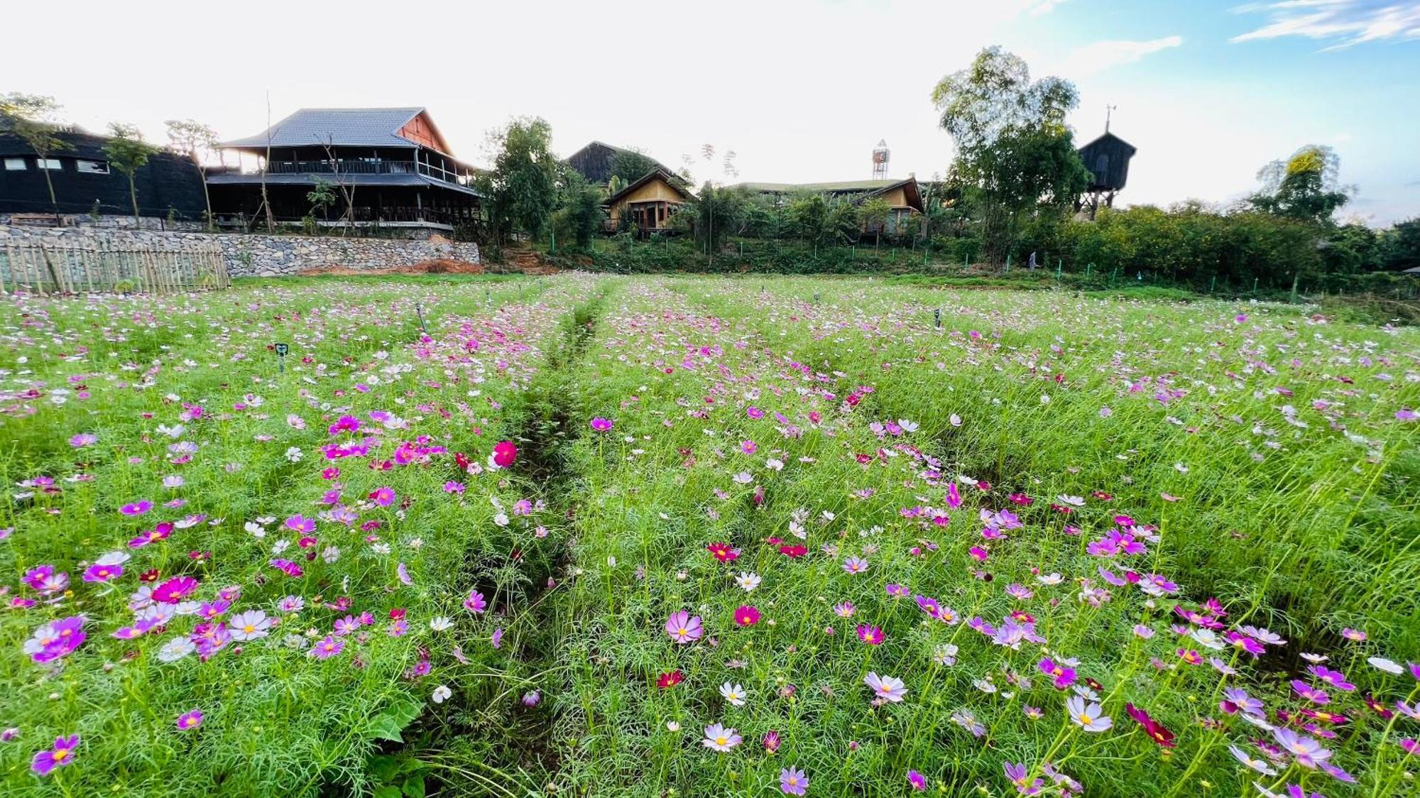 Satoyama Village Luong Son  Ngoại thất bức ảnh