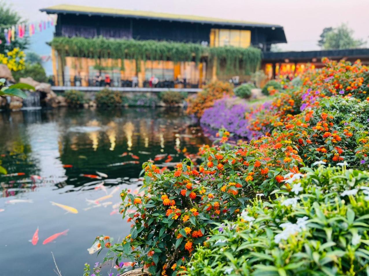 Satoyama Village Luong Son  Ngoại thất bức ảnh