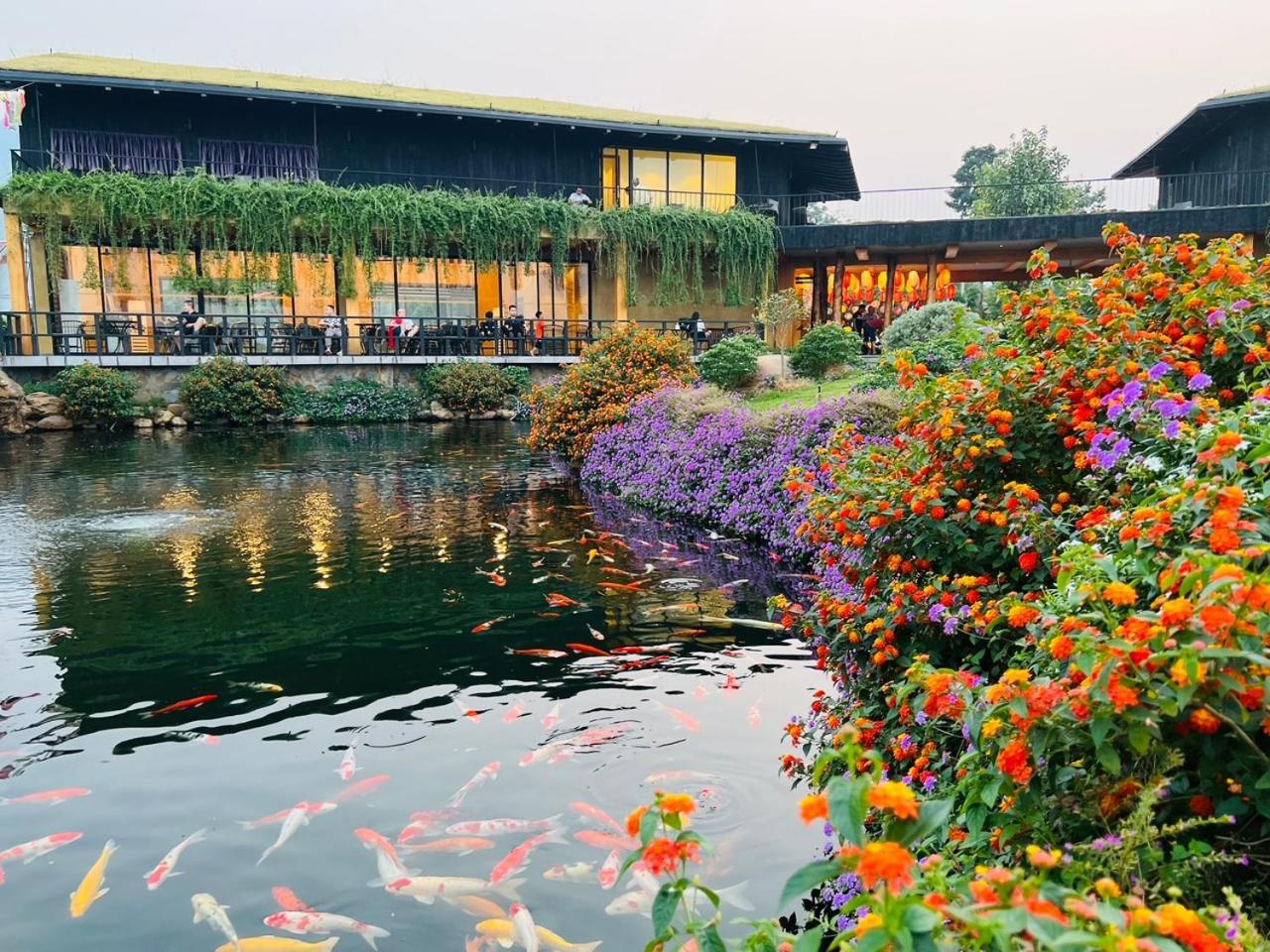Satoyama Village Luong Son  Ngoại thất bức ảnh